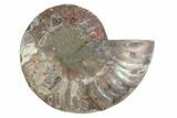 Cut & Polished Ammonite Fossil (Half) - Madagascar #377636-1